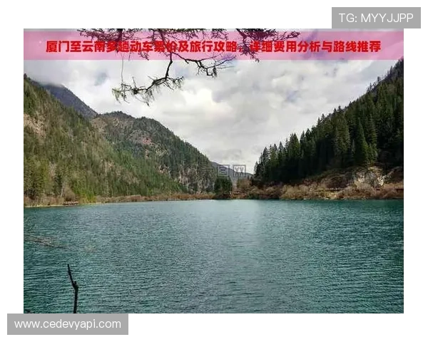 开云真人在哪个地方打开方便快捷的攻略分析 开云真人在哪个地方打开方便快捷的攻略分析